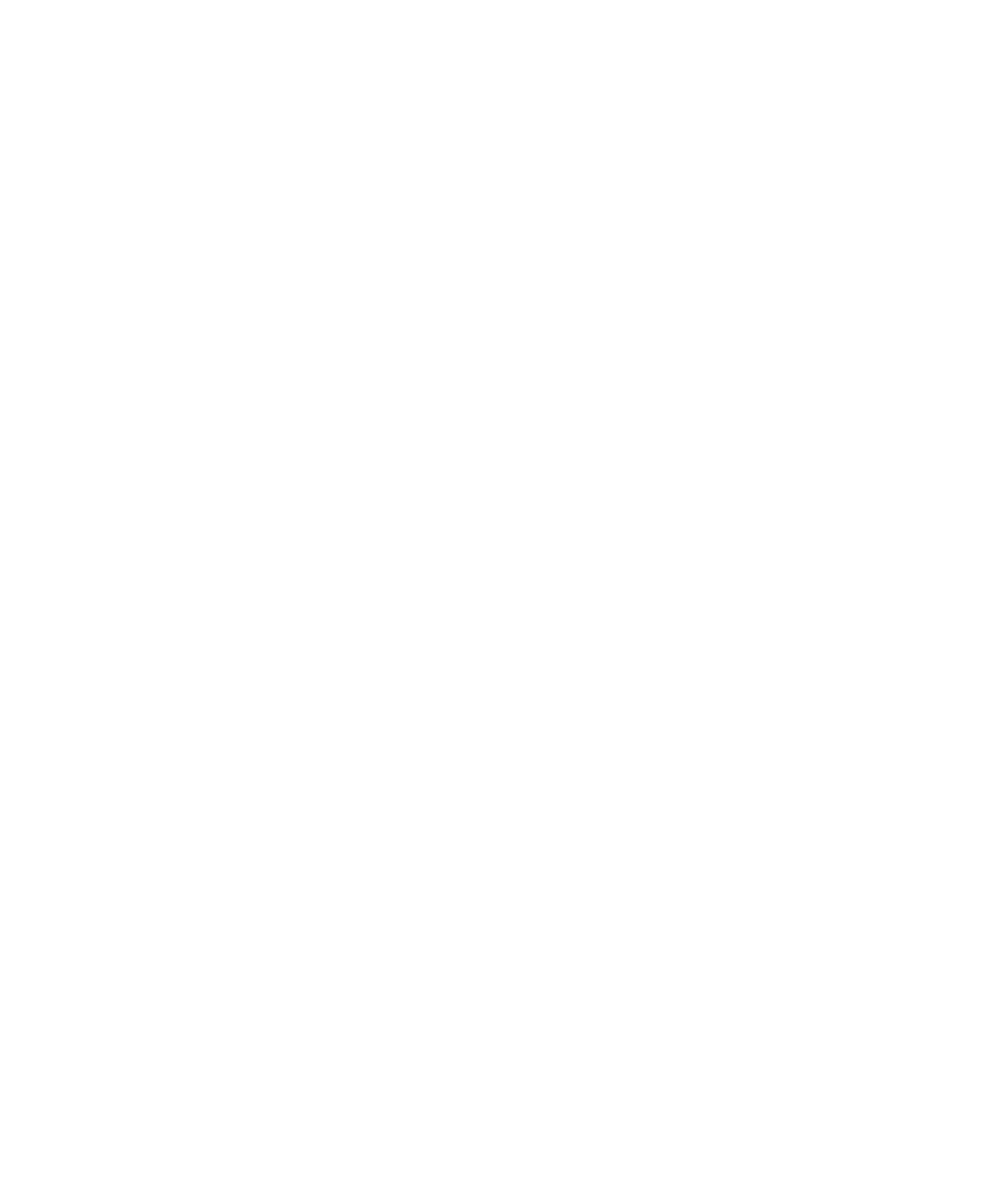Main Logo